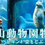 映画「旭山動物園物語　ペンギンが空を飛ぶ」
